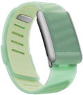 WHOOP 5.0 SportFlex Accessory Band – Pulse
